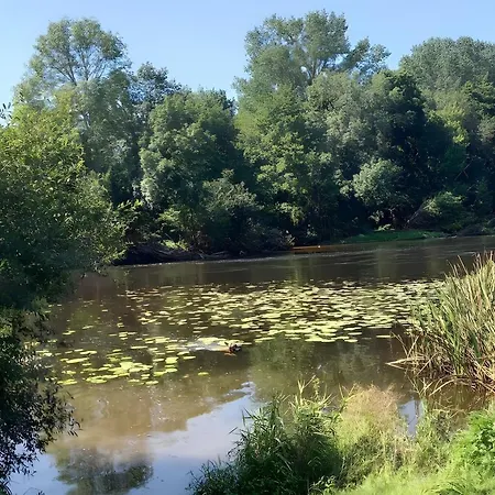 Les Glycines Vicq-sur-Gartempe